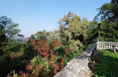 Historická vila na prodej Golasecca, Lombardia, Zahrada