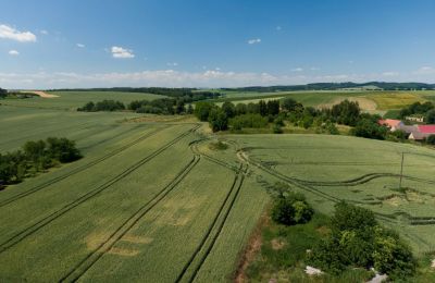 Historická vila na prodej Strzelin, Kazanów 21, Dolní Slezsko, Foto 33/35