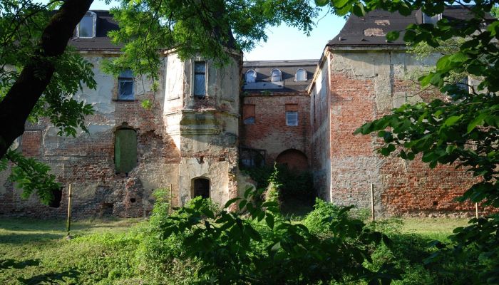 Zámek/Palác Komorowice 4