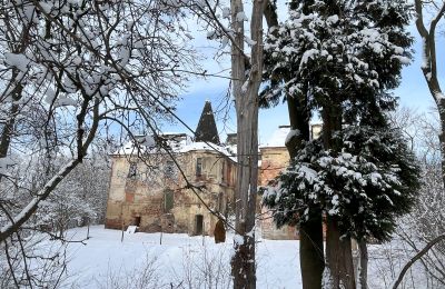 Zámek na prodej Komorowice, Wrocławska 27, Dolní Slezsko, Foto 33/36