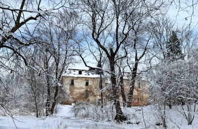 Zámek na prodej Komorowice, Wrocławska 27, Dolní Slezsko, Foto 34/36