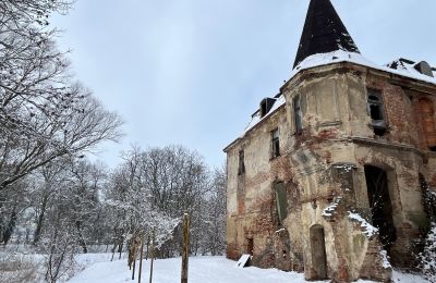Zámek na prodej Komorowice, Wrocławska 27, Dolní Slezsko, Foto 30/36