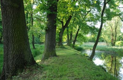 Zámek na prodej Komorowice, Wrocławska 27, Dolní Slezsko, Foto 15/36