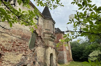Zámek na prodej Komorowice, Wrocławska 27, Dolní Slezsko, Foto 21/36