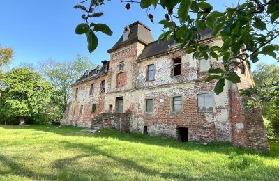 Zámek na prodej Komorowice, Wrocławska 27, Dolní Slezsko, Foto 22/36