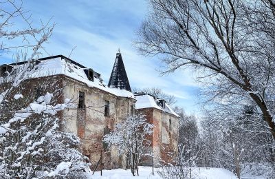Zámek na prodej Komorowice, Wrocławska 27, Dolní Slezsko, Foto 28/36