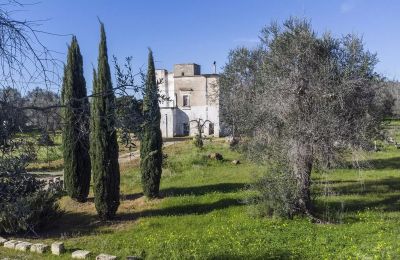 Venkovský dům na prodej Oria, Puglia, Foto 3/26