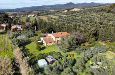 Venkovský dům na prodej Castagneto Carducci, Toscana:  RIF 3057 Blick auf Anwesen und Umgebung