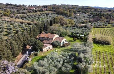 Venkovský dům na prodej Castagneto Carducci, Toscana:  RIF 3057 Ansicht