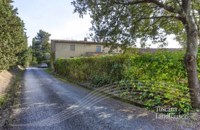 Venkovský dům na prodej Castagneto Carducci, Toscana:  RIF 3057 Zufahrt