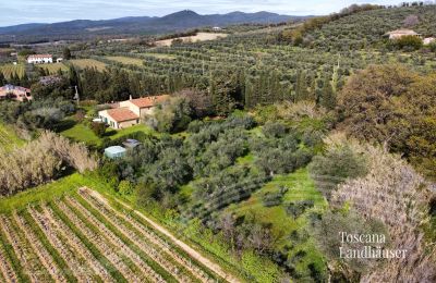 Venkovský dům na prodej Castagneto Carducci, Toscana:  RIf 3057 Anwesen und Olivenbäume