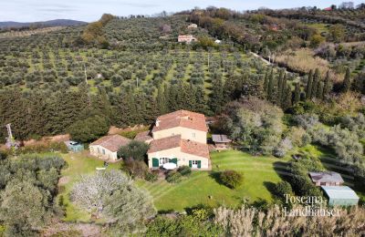 Venkovský dům na prodej Castagneto Carducci, Toscana:  RIF 3057 Haus und Oliven