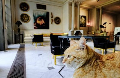 Historická vila na prodej İstanbul, Tom Tom, Nur-i Ziya Sokak, Foto 6/33