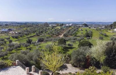 Trullo na prodej Cisternino, Puglia, Foto 17/29
