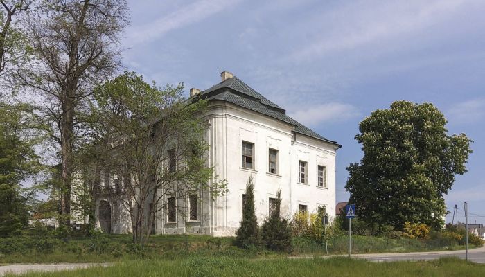Zámek na prodej Pisarzowice, Opolské vojvodství,  Polsko