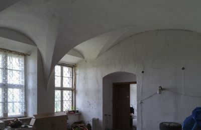 Zámek na prodej Pisarzowice, Opolské vojvodství, Foto 9/17