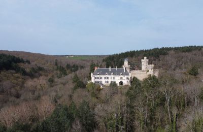 Zámek/Palác na prodej Veauce, Auvergne-Rhône-Alpes:  