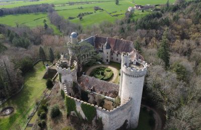 Zámek na prodej Veauce, Auvergne-Rhône-Alpes, Pohled zvenku