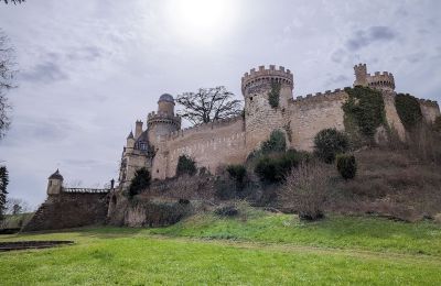 Zámek na prodej Veauce, Auvergne-Rhône-Alpes, Foto 3/10