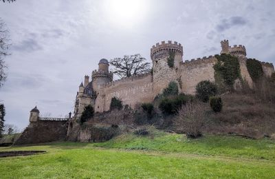 Zámek/Palác na prodej Veauce, Auvergne-Rhône-Alpes:  