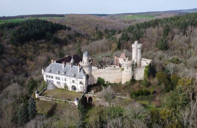Zámek na prodej Veauce, Auvergne-Rhône-Alpes, Foto z dronu