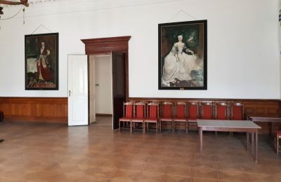 Zámek/Palác na prodej Czempiń, Velkopolské:  