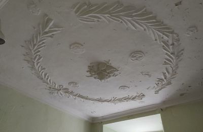 Zámek na prodej 04600 Altenburg, Durynsko,, Ansicht