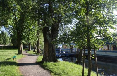 Zámek na prodej 17252 Mirow, Meklenbursko-Přední Pomořansko, Foto 13/14