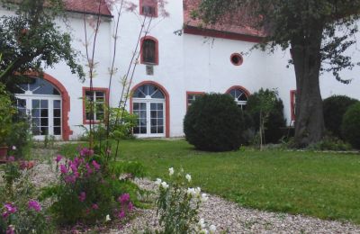 Zámek na prodej 91792 Ellingen, An der Vogtei 2, Bayern, Löwenmäulchen