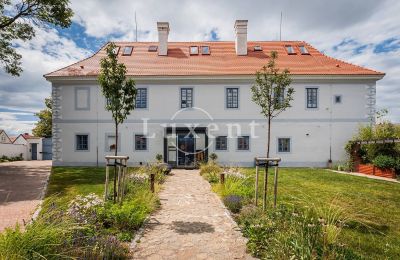 Zámek/Palác na prodej České Budějovice, Jihočeský kraj:  Pohled zepředu