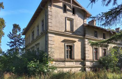 Zámek na prodej Stradzewo, Pałac w Stradzewie, Západopomořanské vojvodství, Boční pohled