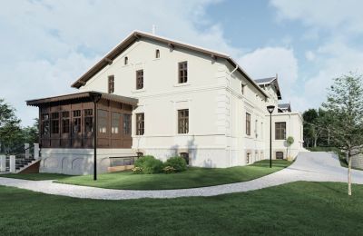 Zámek na prodej Stradzewo, Pałac w Stradzewie, Západopomořanské vojvodství, Vizualizace