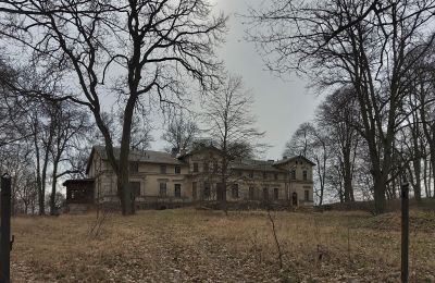 Zámek na prodej Stradzewo, Pałac w Stradzewie, Západopomořanské vojvodství, Park