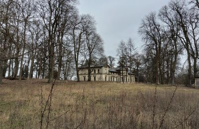 Zámek na prodej Stradzewo, Pałac w Stradzewie, Západopomořanské vojvodství, Park