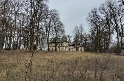 Zámek/Palác na prodej Stradzewo, Pałac w Stradzewie, województwo zachodniopomorskie:  