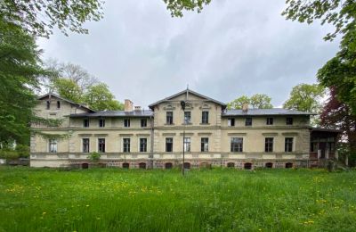 Zámek na prodej Stradzewo, Pałac w Stradzewie, Západopomořanské vojvodství, Pohled zepředu
