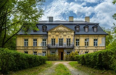 Zámek/Palác na prodej Nakło, województwo śląskie:  