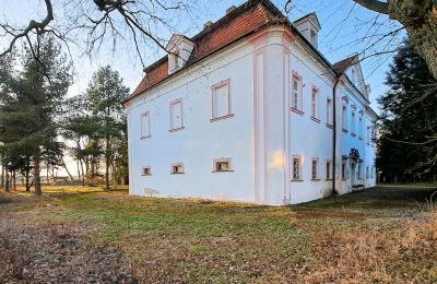 Zámek/Palác na prodej Opava, Moravskoslezský kraj:  Boční pohled