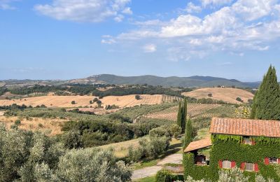Venkovský dům na prodej Campagnatico, Toscana:  Výhled
