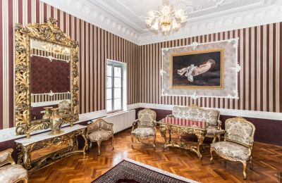 Zámek na prodej Szombathely, Župa Vas, Foto 20/21