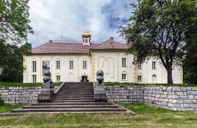 Zámek/Palác na prodej Szombathely, Župa Vas:  Pohled zezadu