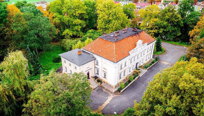 Zámek/Palác Gola, Velkopolské