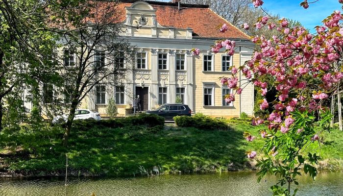 Zámek na prodej Gola, Velkopolské,  Polsko