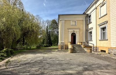 Zámek na prodej Gola, Velkopolské, Foto 42/42