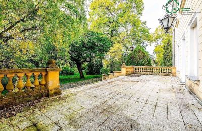 Zámek na prodej Gola, Velkopolské, Foto 38/42