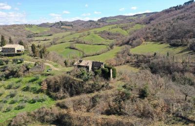 Hrad na prodej 06026 Pietralunga, Umbria, Foto 6/11