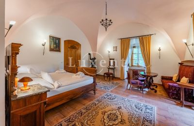 Hrad na prodej Třebotov, Třebotov tvrz, Středočeský kraj, Foto 8/36