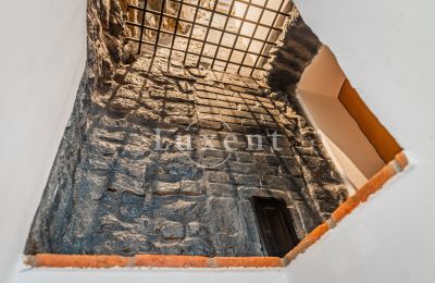 Hrad na prodej Třebotov, Třebotov tvrz, Středočeský kraj, Foto 22/36