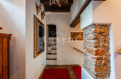 Hrad na prodej Třebotov, Třebotov tvrz, Středočeský kraj, Foto 25/36