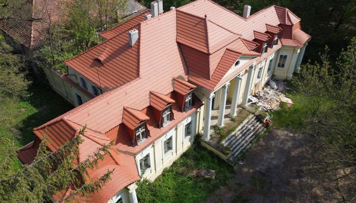 Zámek na prodej Skoraszewice, Velkopolské,  Polsko
